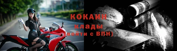 амф Верхний Тагил