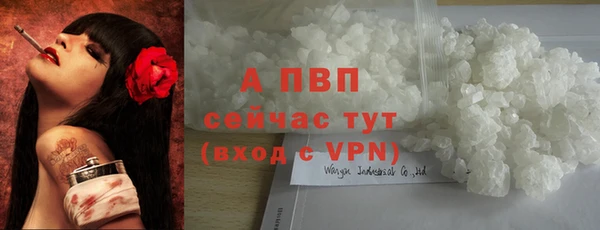 гидра Верея