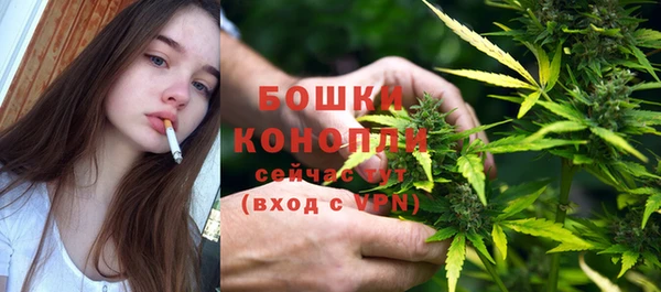 амф Верхний Тагил