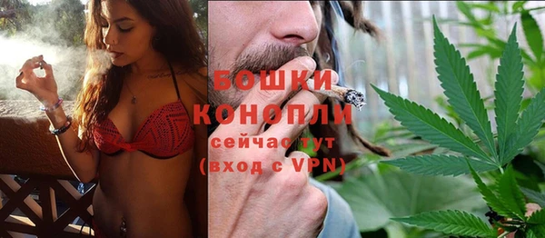 гидра Верея