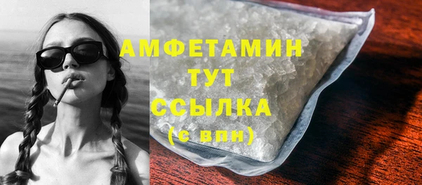 амф Верхний Тагил