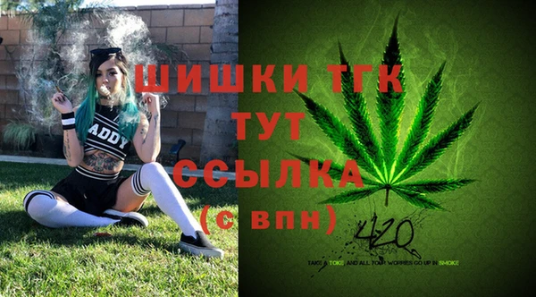 гидра Верея