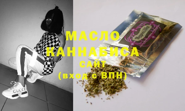 амф Верхний Тагил