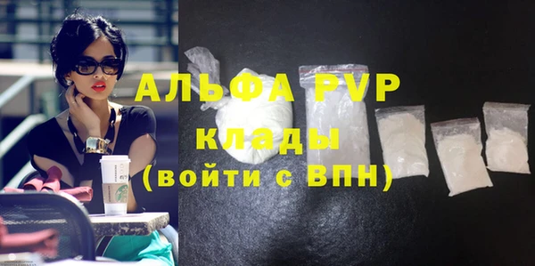 амф Верхний Тагил